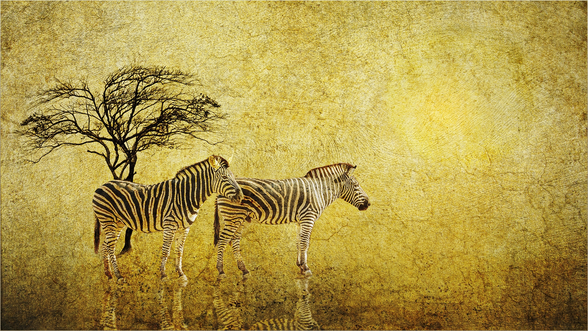Tiled Image