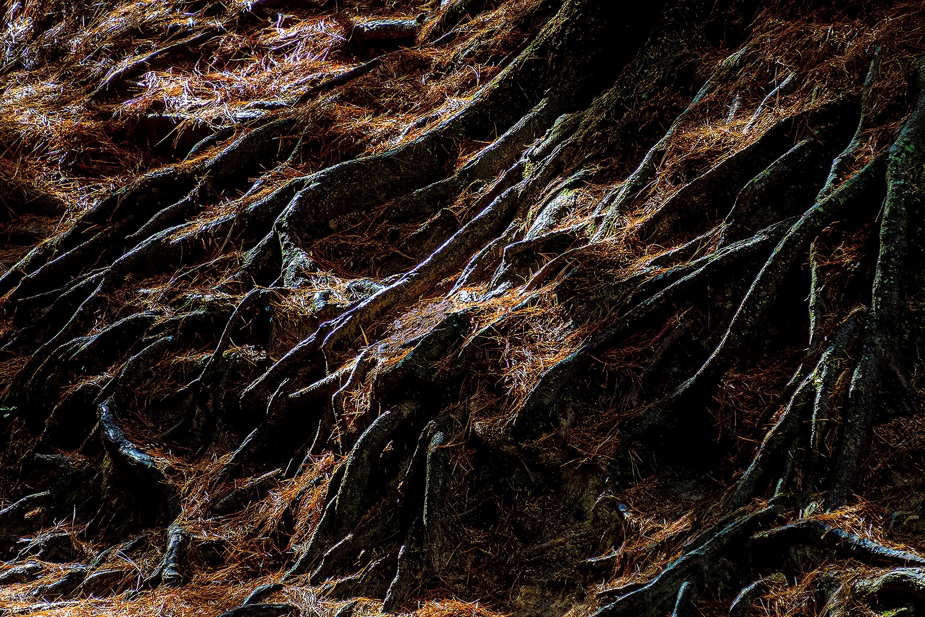 Tiled Image