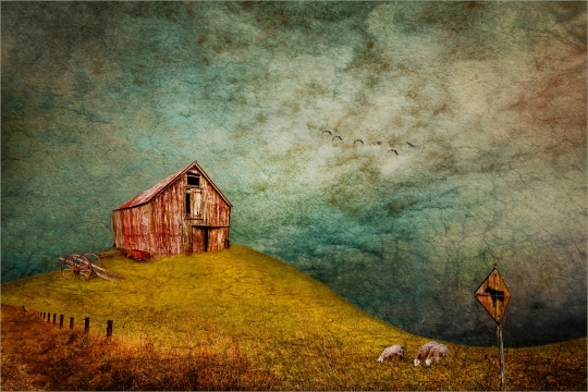 Tiled Image