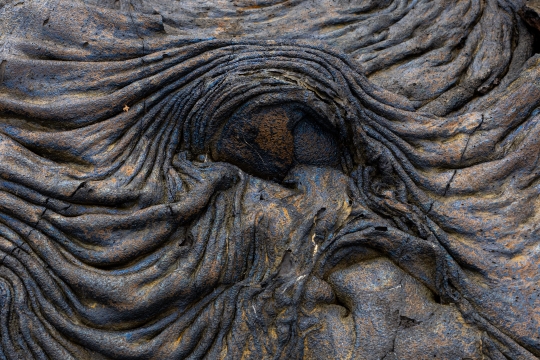 Tiled Image