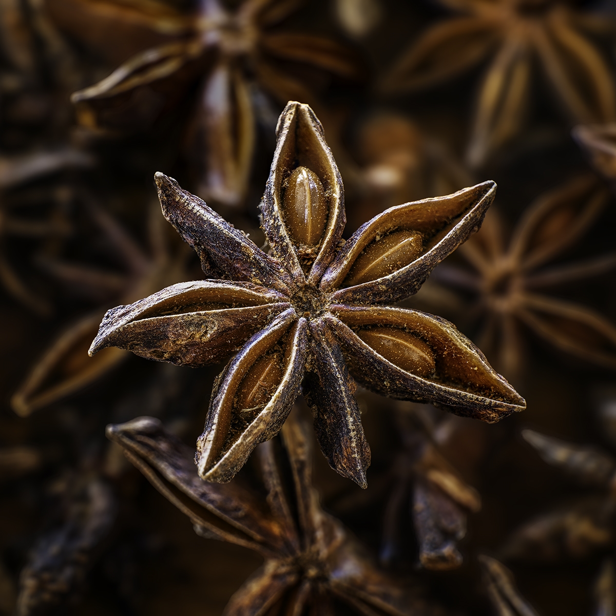 Tiled Image